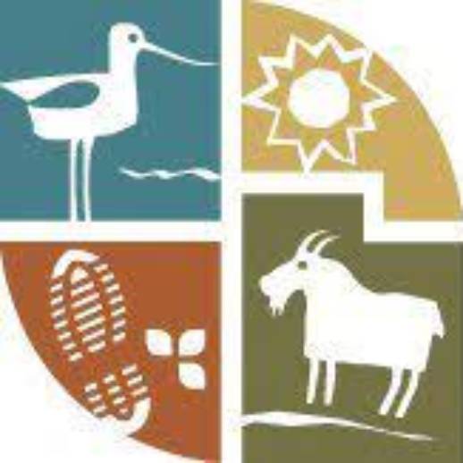 master naturalist logo