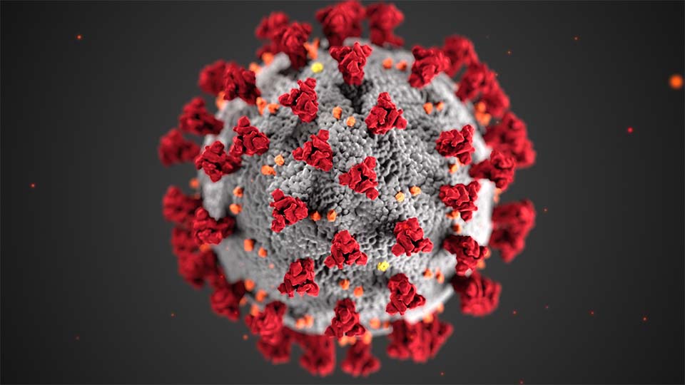 Model of COVID-19 virus