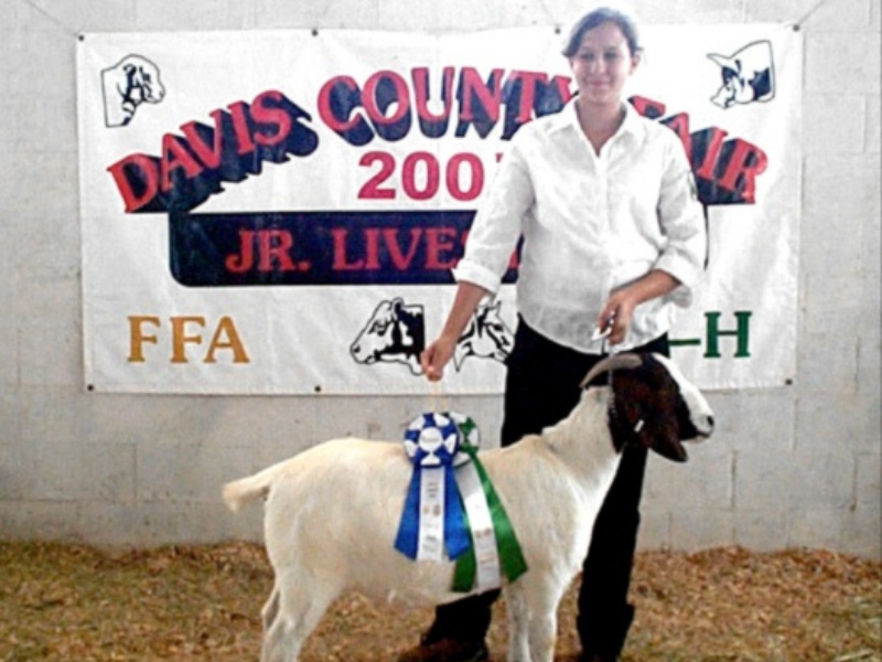 Youth showing goat