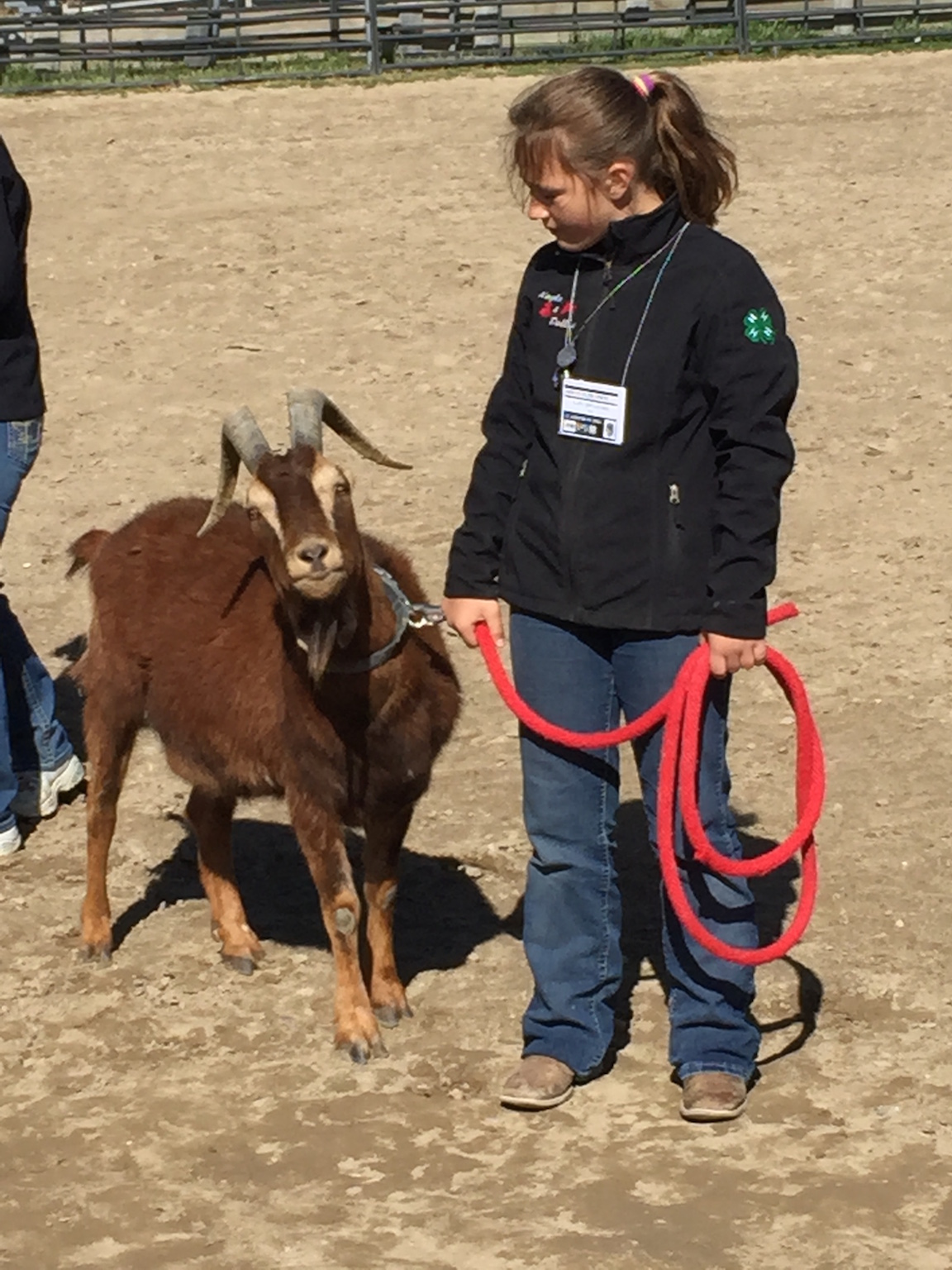 girl showing a goat