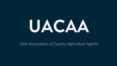 text that says 'UACAA'