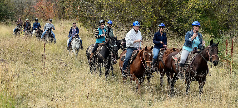 group riding horses