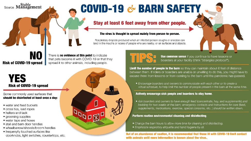 Barn Safety
