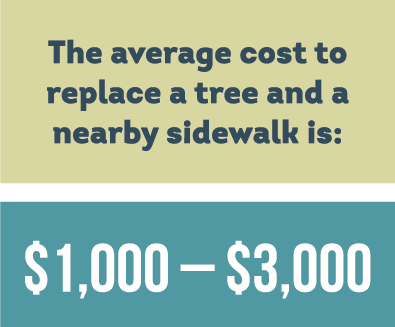 trees and sidewalks cost