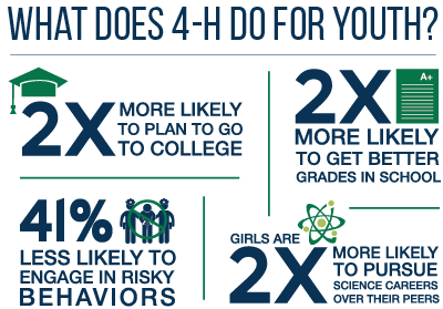 What does 4h do for youth