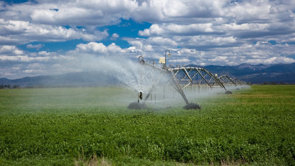 Agricultural Irrigated Land and Irrigation Water Use in Utah