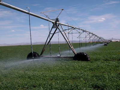 Field crop irrigation