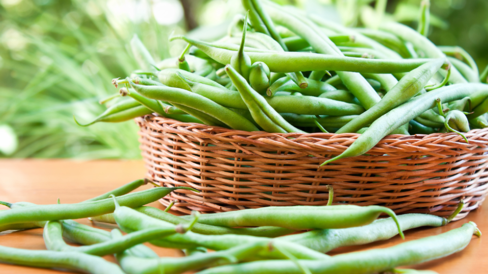 Fruit and Vegetable Guide Series: Green Beans