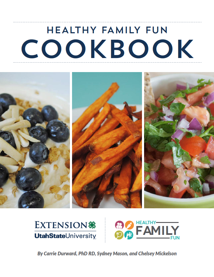 healthy family fun cookbook