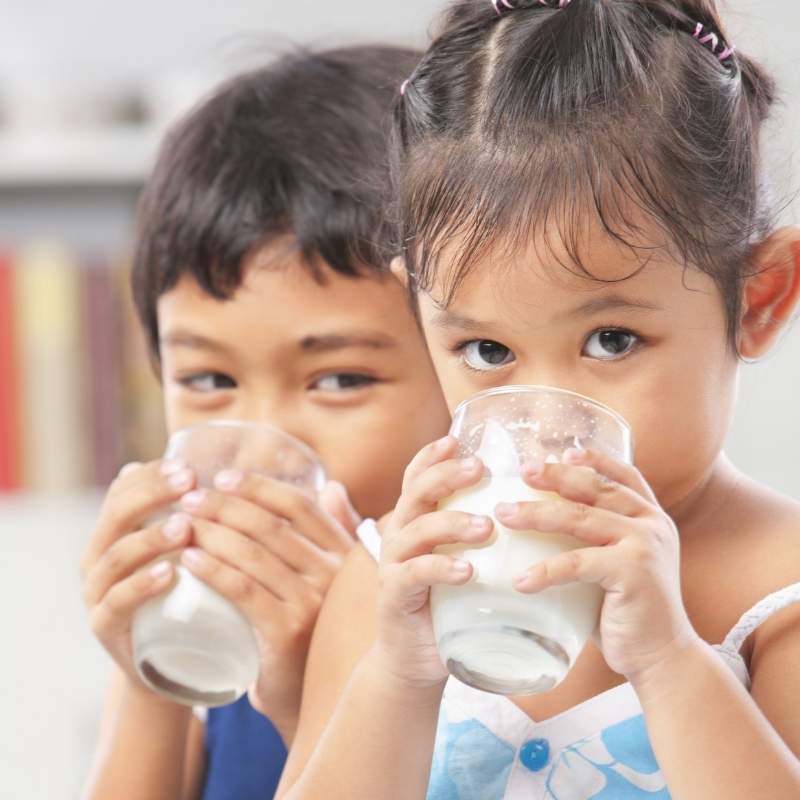 putting dairy in your child's diet