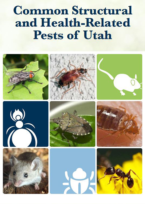 Structure and Health Pests Guide Cover Image