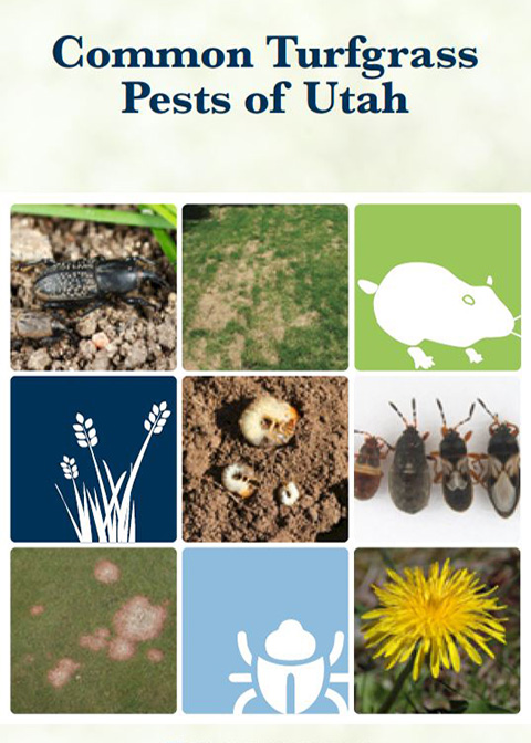 Common Turfgrass Pests Guide Cover Image