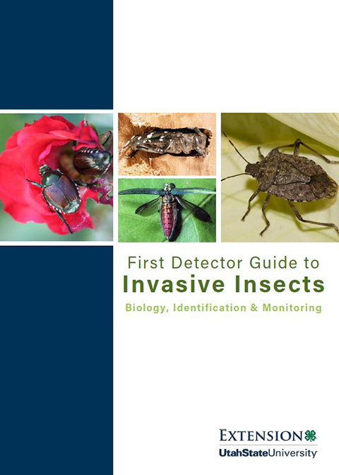 Insects First Detector Guide Cover Image