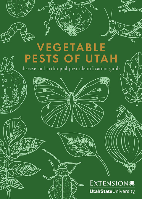 Vegetable Pest ID Guide Cover Image