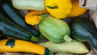 How to Preserve Summer Squash