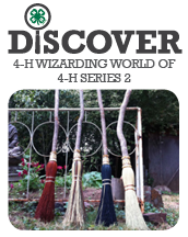 Wizarding World of 4-H Series 2