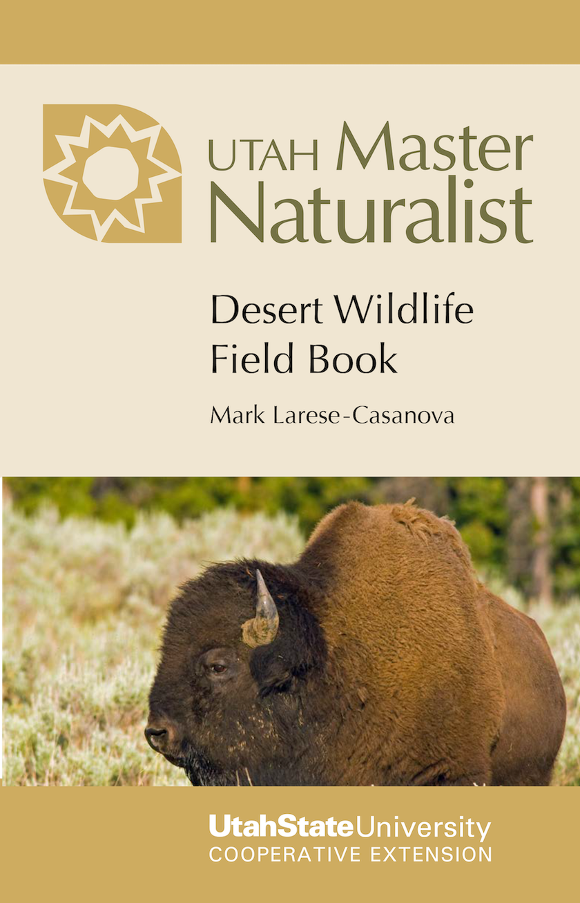 Desert Wildlife Field Book