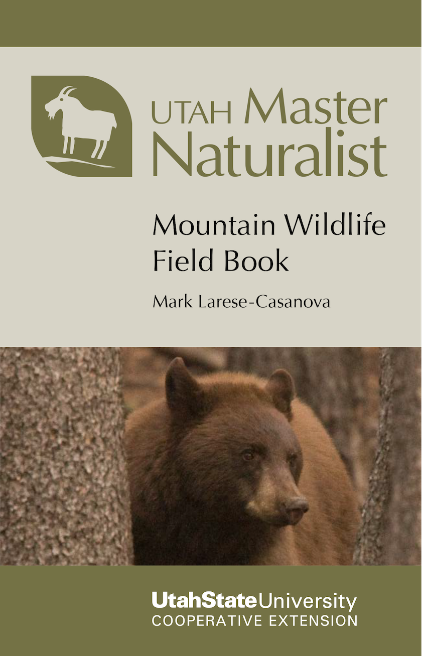 Mountain Wildlife Book