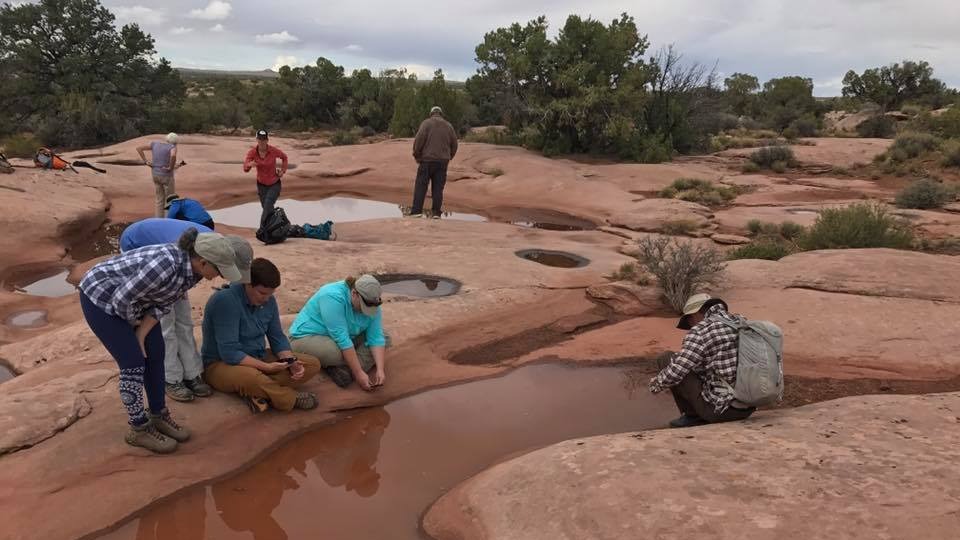 People gathered around a puddle of water in the desert