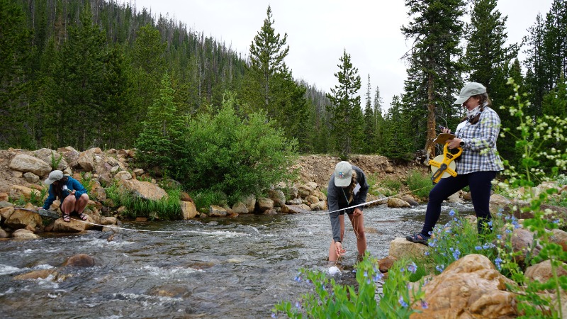 Group of people taking measurements around a stream