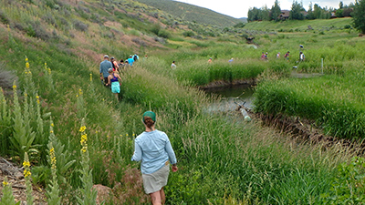 People walking along a stream on a hillside