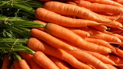 How to Grow Carrots in Your Garden