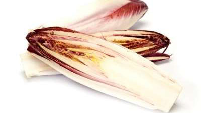 How to Grow Chicory in Your Garden