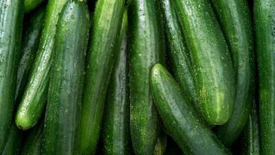 How to Grow Cucumber in Your Garden