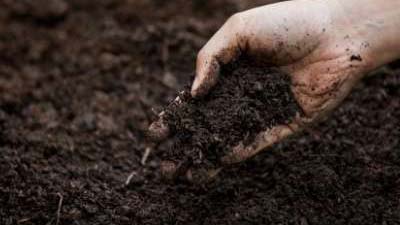 Preparing and Improving Garden Soil