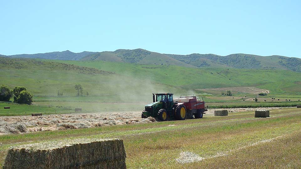 Tractor bailing hay