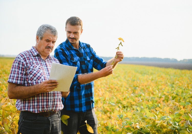 Two men analyzing a paper in a field of plants.