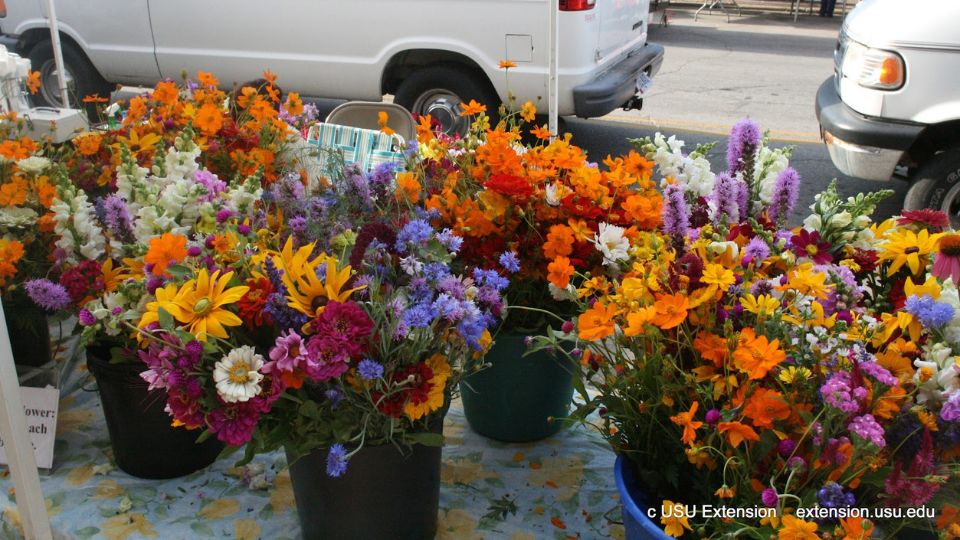 Cut Flower Markets and Marketing in the Intermountain West