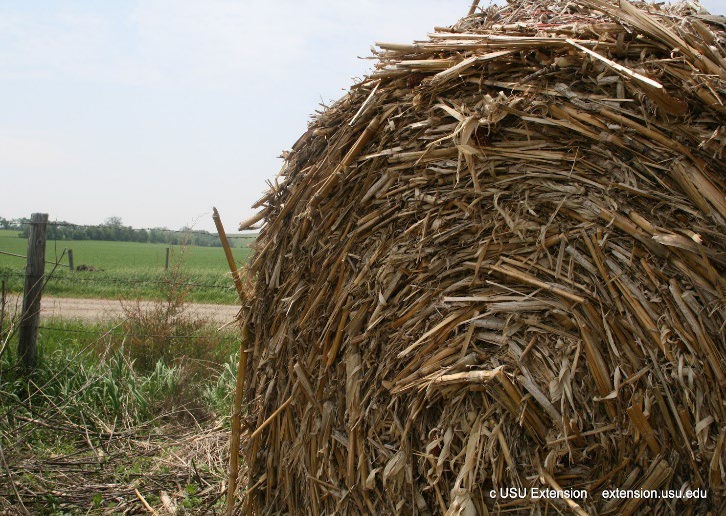 A field with a bail of hay