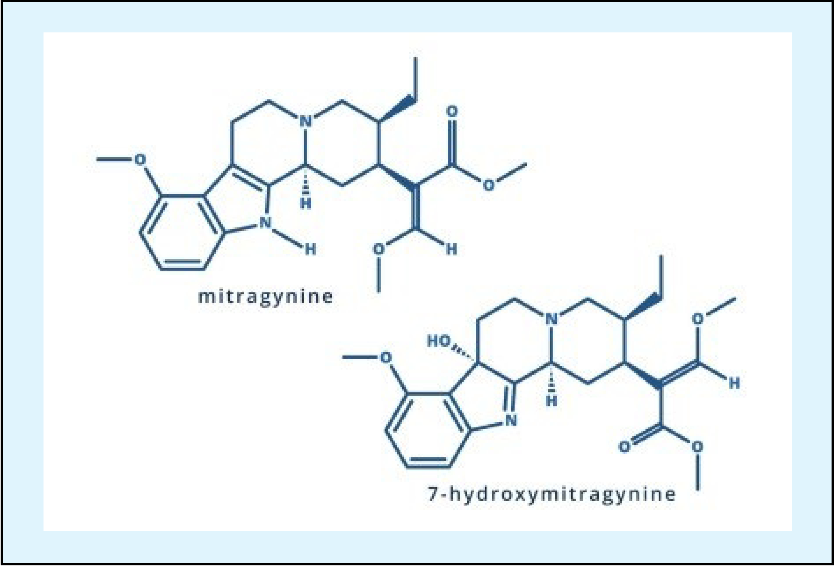 Two two-dimensional chemical structure diagrams of kratom compounds. The top diagram shows mitragynine, and the bottom diagram shows 7-hydroxymitragynine, which includes an added hydroxyl group. Both structures are labeled and displayed inside a light blue bordered box.