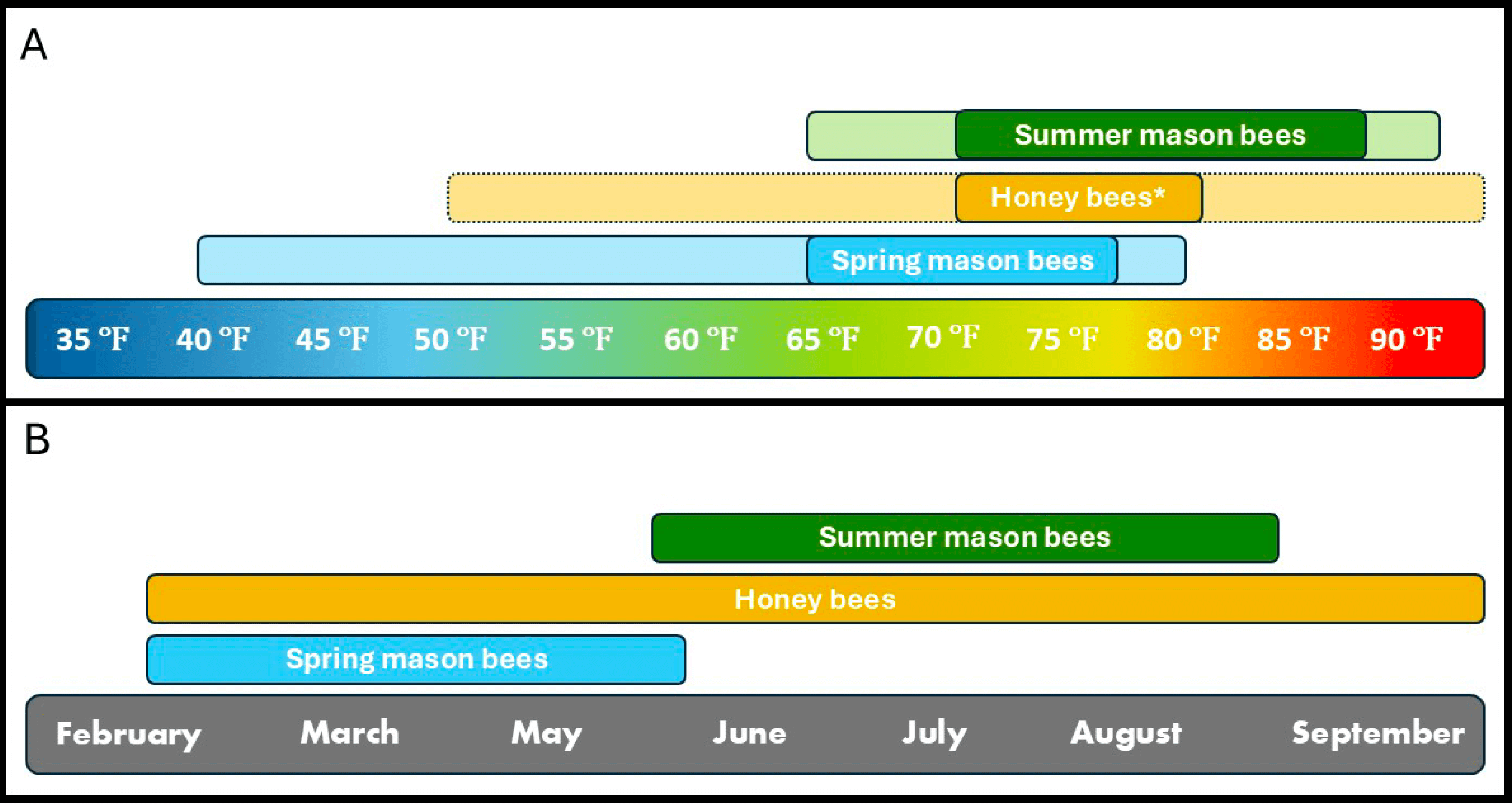 Two-panel diagram comparing bee foraging activity by temperature and season. Panel A shows temperature ranges from 35°F to 90°F, indicating spring mason bees forage at cooler temperatures, honey bees at moderate to warm temperatures, and summer mason bees at warmer temperatures. Panel B shows seasonal activity from February to September, with spring mason bees active in early spring, honey bees active from spring through late summer, and summer mason bees active primarily in mid to late summer.