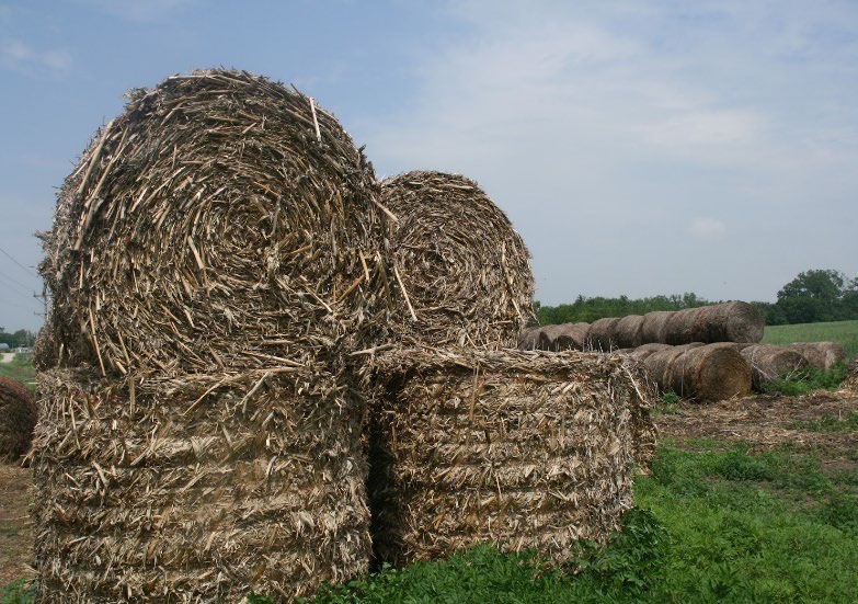 A stack of rolled hay