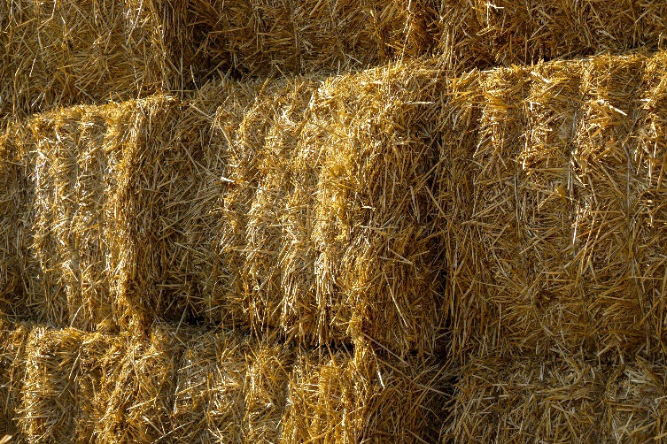A wall of stacked hay bails