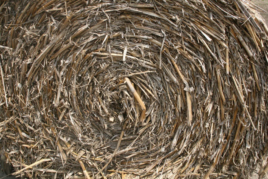 A roll of hay