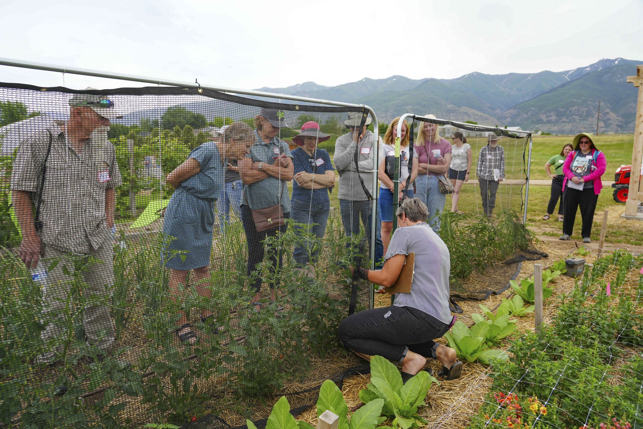 People are gathered around a garden demonstration area, with a person kneeling beside the plants and taking notes. A large protective netting structure surrounds the garden, and mountains are visible in the background.