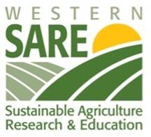 Western Sare logo