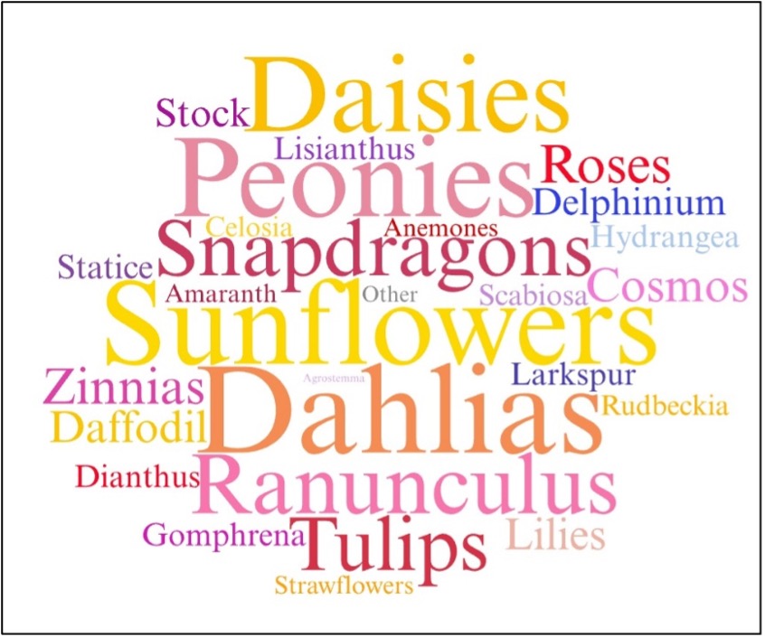 word cloud displaying flower preferences