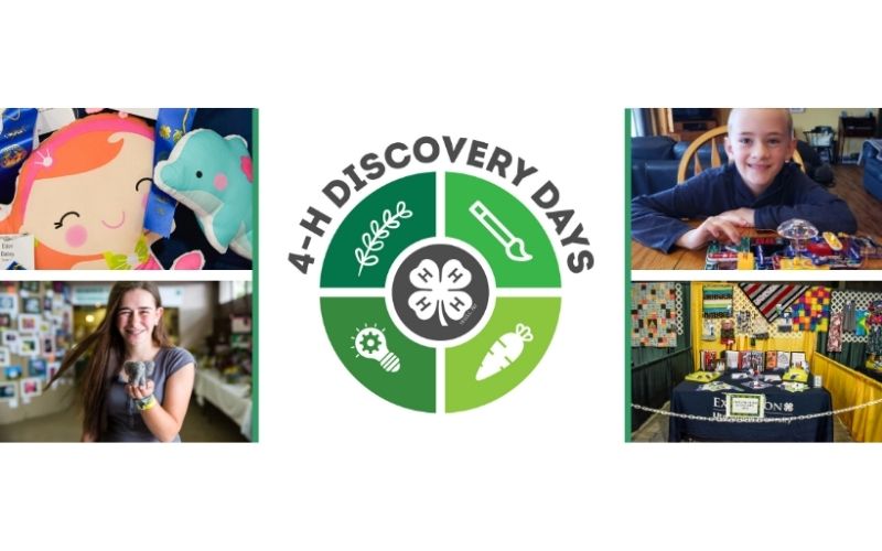 4-h discovery days