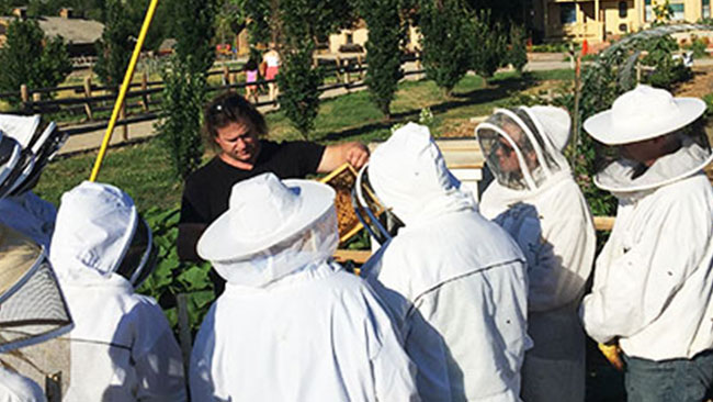 Beekeeping class