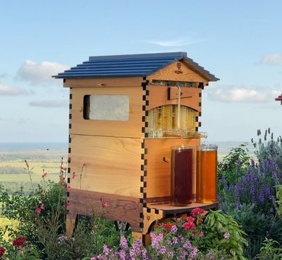 A wooden hive with a tin roof and a small tube coming out the front allowing honey to empty into a jar.