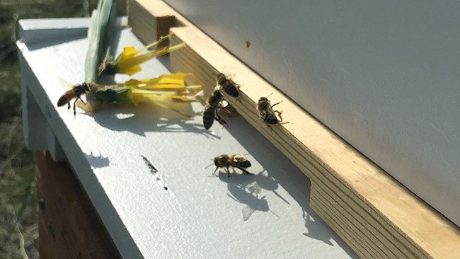 Hive reducer at hive entrance