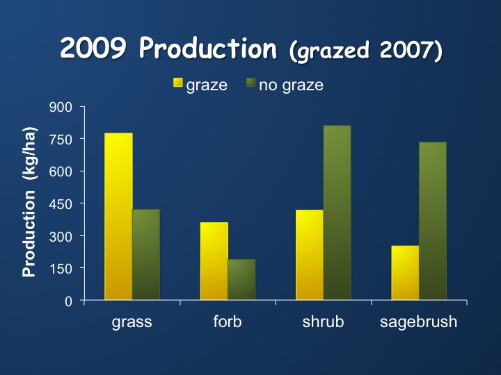 2009 Production (grazed 2007)