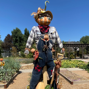JJ Nursery pumpkin head scarecrow