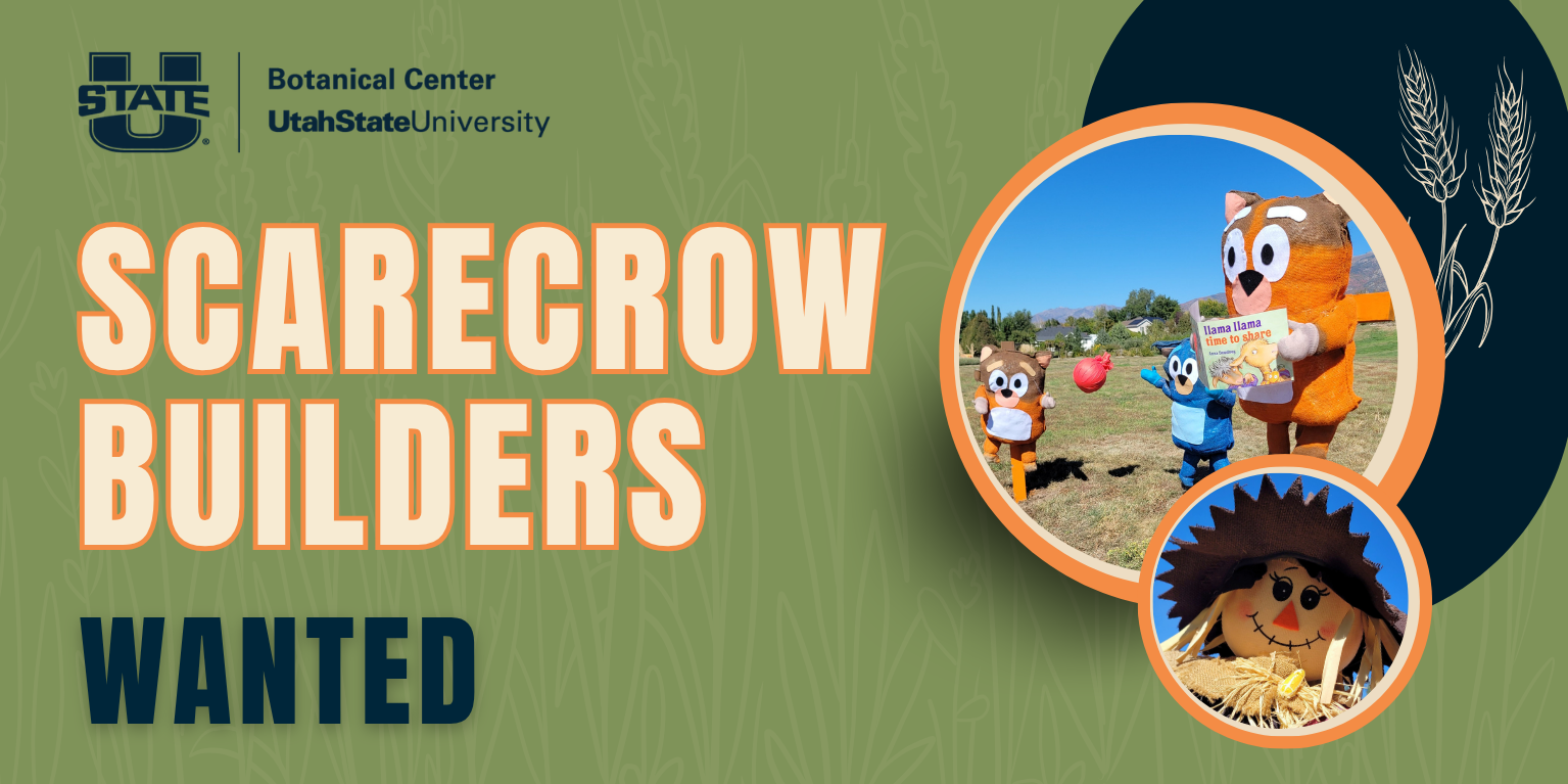 Horizontal recruitment graphic on a green background with the USU Botanical Center logo in the upper left and wheat stalk illustrations in the upper right. Bold text on the left reads "Scarecrow Builders Wanted" in cream and navy. On the right, two circular photos show previous Scarecrow Walk entries: one featuring three character scarecrows dressed as cartoon animals holding a "Llama Llama Time to Share" book, and a smaller circle below showing a close-up of a smiling straw-haired scarecrow face.