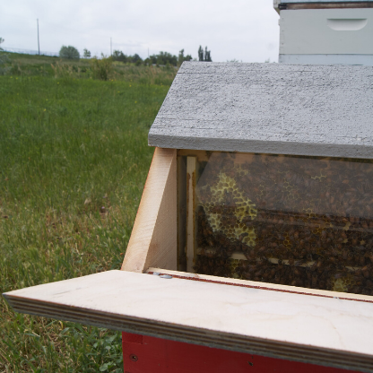 Teaching hive