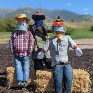 Garden Scarecrows 2022